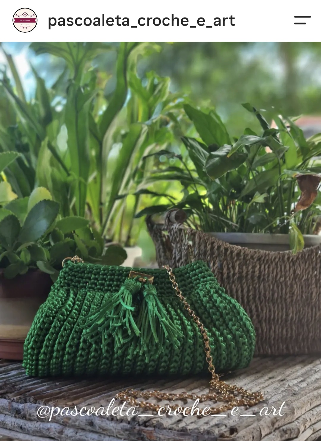 Bolsa Catarina
